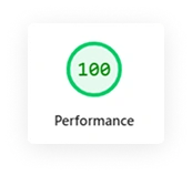 Performance - Google Page Speed Insight