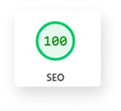 SEO- Google Page Speed Insight